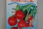 野菜種子　赤丸２０日大根