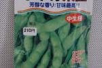 野菜種子　小平方　茶豆