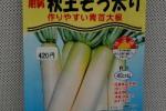 野菜種子　青首大根　秋王そう太り