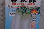 野菜種子　春太郎　大根