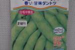 野菜種子　秘伝　枝豆