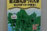 野菜種子　新次郎丸ほうれん草