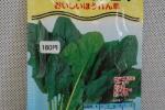 野菜種子　新日本法蓮草