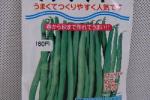 野菜種子　ケンタッキー　いんげん