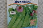 野菜種子　絹さやえんどう　赤花