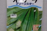 野菜種子　オクラ　グリーンスター