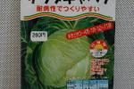 野菜種子　サラダキャベツ