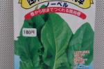 野菜種子　西洋大葉ほうれん草