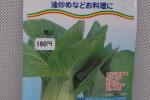 野菜種子　チンゲンサイ