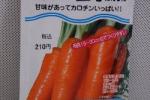 野菜種子　時なし五寸　にんじん