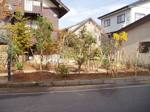 施行後右側